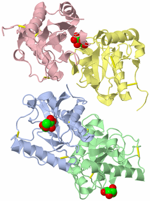 Image Asym./Biol. Unit