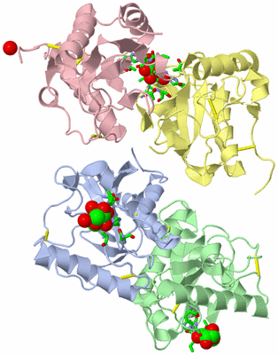 Image Asym./Biol. Unit - sites