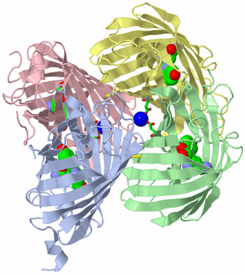 Image Biol. Unit 1 - sites