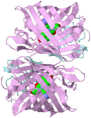 Image Biological Unit 2