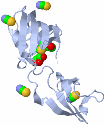 Image Biological Unit 1