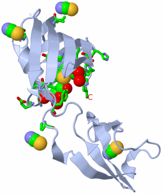 Image Biol. Unit 1 - sites