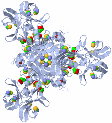 Image Biological Unit 2