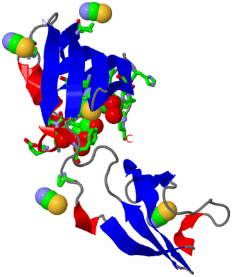 Image Asym. Unit - sites