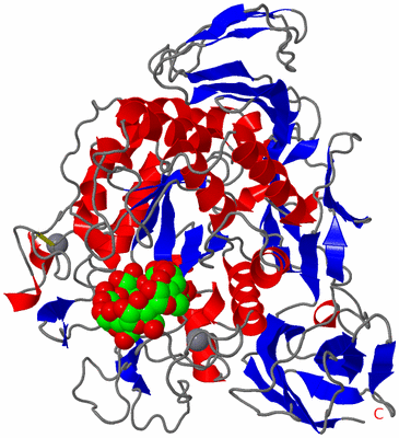 Image Asym./Biol. Unit