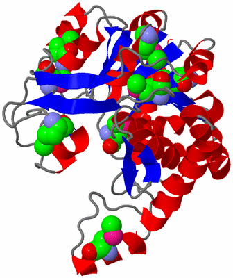 Image Asymmetric Unit