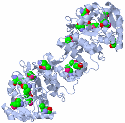 Image Biological Unit 1