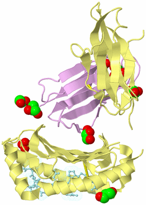 Image Biological Unit 1