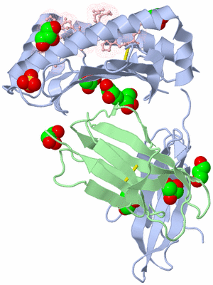 Image Biological Unit 2