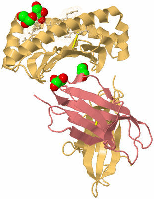 Image Biological Unit 3