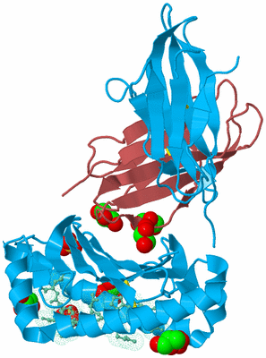 Image Biological Unit 4