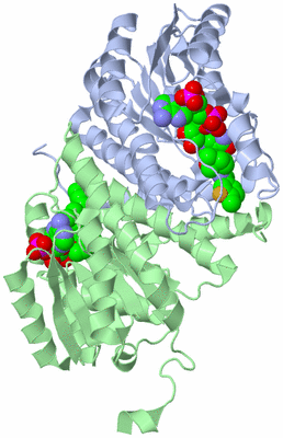 Image Biological Unit 1