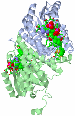 Image Biol. Unit 1 - sites