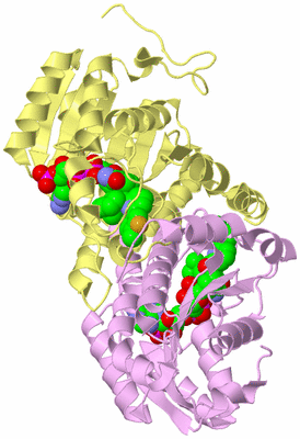 Image Biological Unit 2