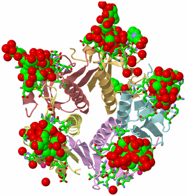 Image Asym./Biol. Unit - sites