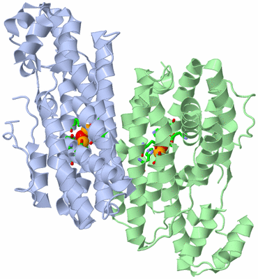 Image Asym./Biol. Unit - sites