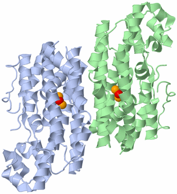 Image Asym./Biol. Unit