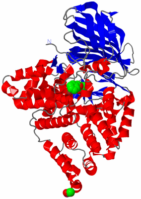 Image Asym./Biol. Unit