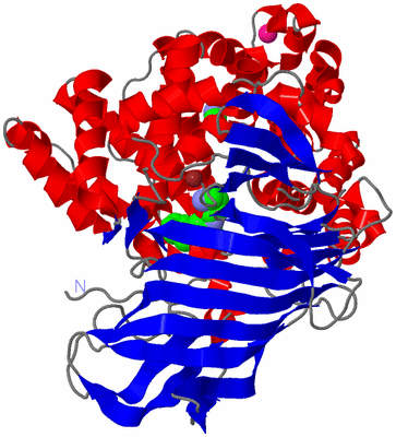 Image Asym./Biol. Unit