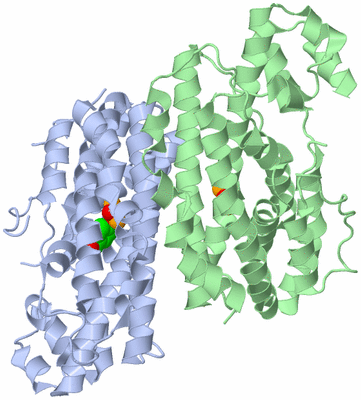 Image Asym./Biol. Unit