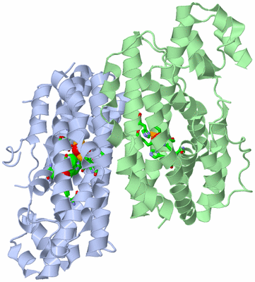 Image Asym./Biol. Unit - sites