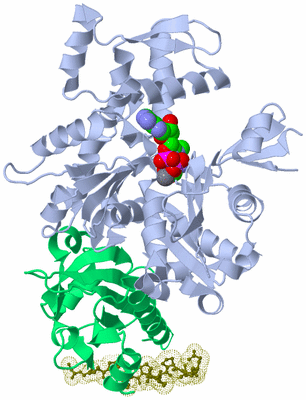 Image Asym./Biol. Unit