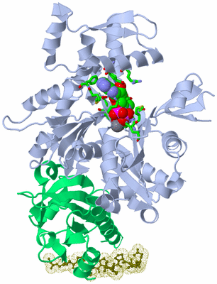 Image Asym./Biol. Unit - sites