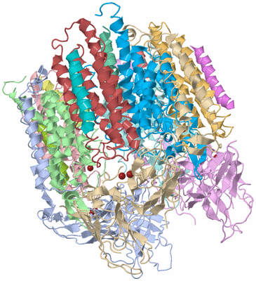 Image Asym./Biol. Unit