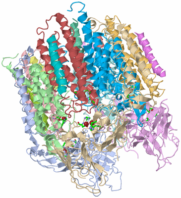 Image Asym./Biol. Unit - sites