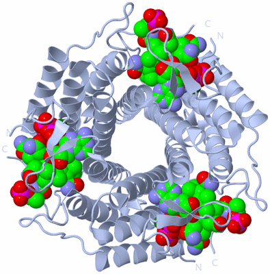 Image Biological Unit 1