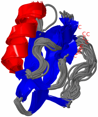 Image NMR Structure - all models