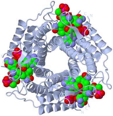 Image Biological Unit 1