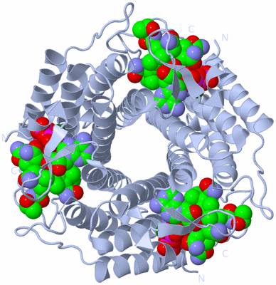 Image Biological Unit 1