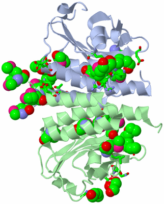 Image Asym./Biol. Unit - sites