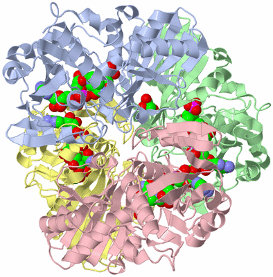 Image Biological Unit 1