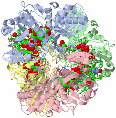 Image Biol. Unit 1 - sites