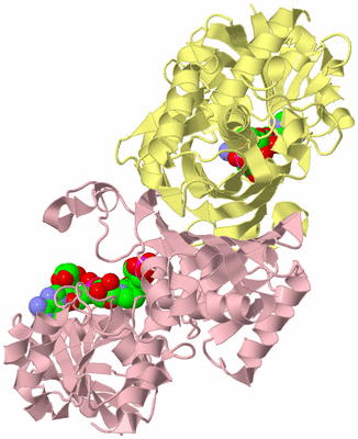 Image Biological Unit 2