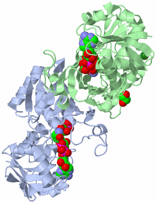 Image Biological Unit 3