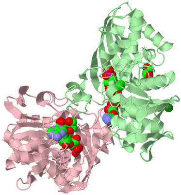 Image Biological Unit 4