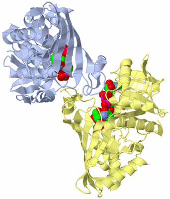 Image Biological Unit 5