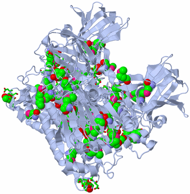 Image Biol. Unit 1 - sites