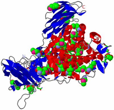 Image Asym. Unit - sites