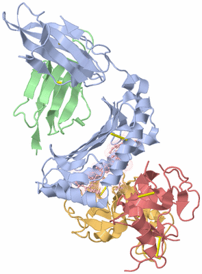 Image Biological Unit 1