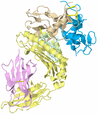 Image Biological Unit 2