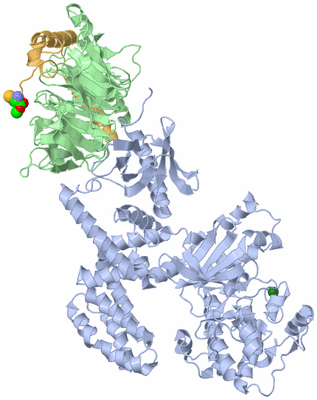 Image Asym./Biol. Unit