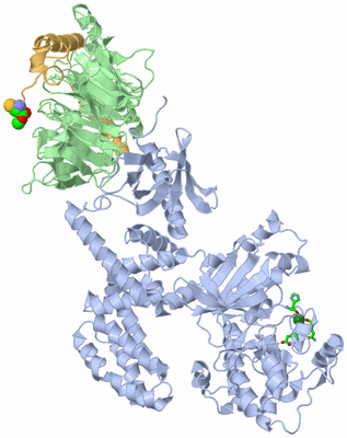 Image Asym./Biol. Unit - sites