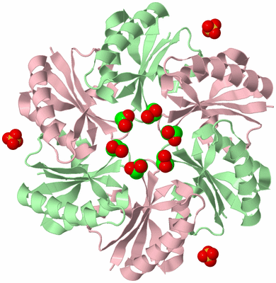 Image Biological Unit 1