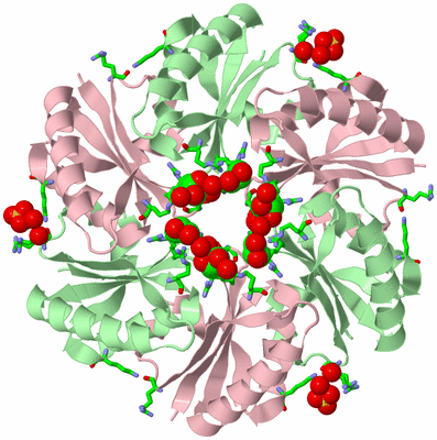 Image Biol. Unit 1 - sites