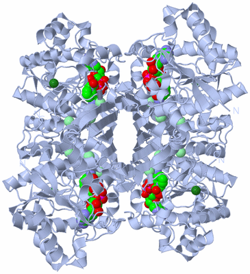 Image Biological Unit 1