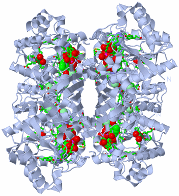 Image Biol. Unit 1 - sites